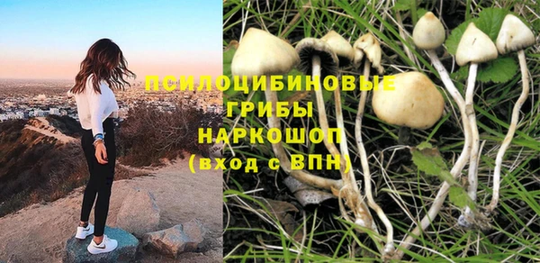 тгк Заволжск