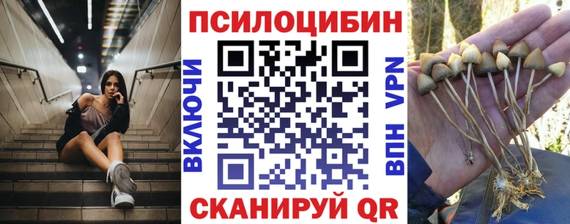 Галлюциногенные грибы GOLDEN TEACHER  Купить закладки  Калачинск 